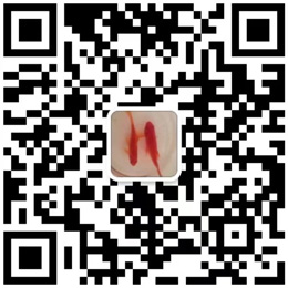 ��ȫ���|��(xi��n)